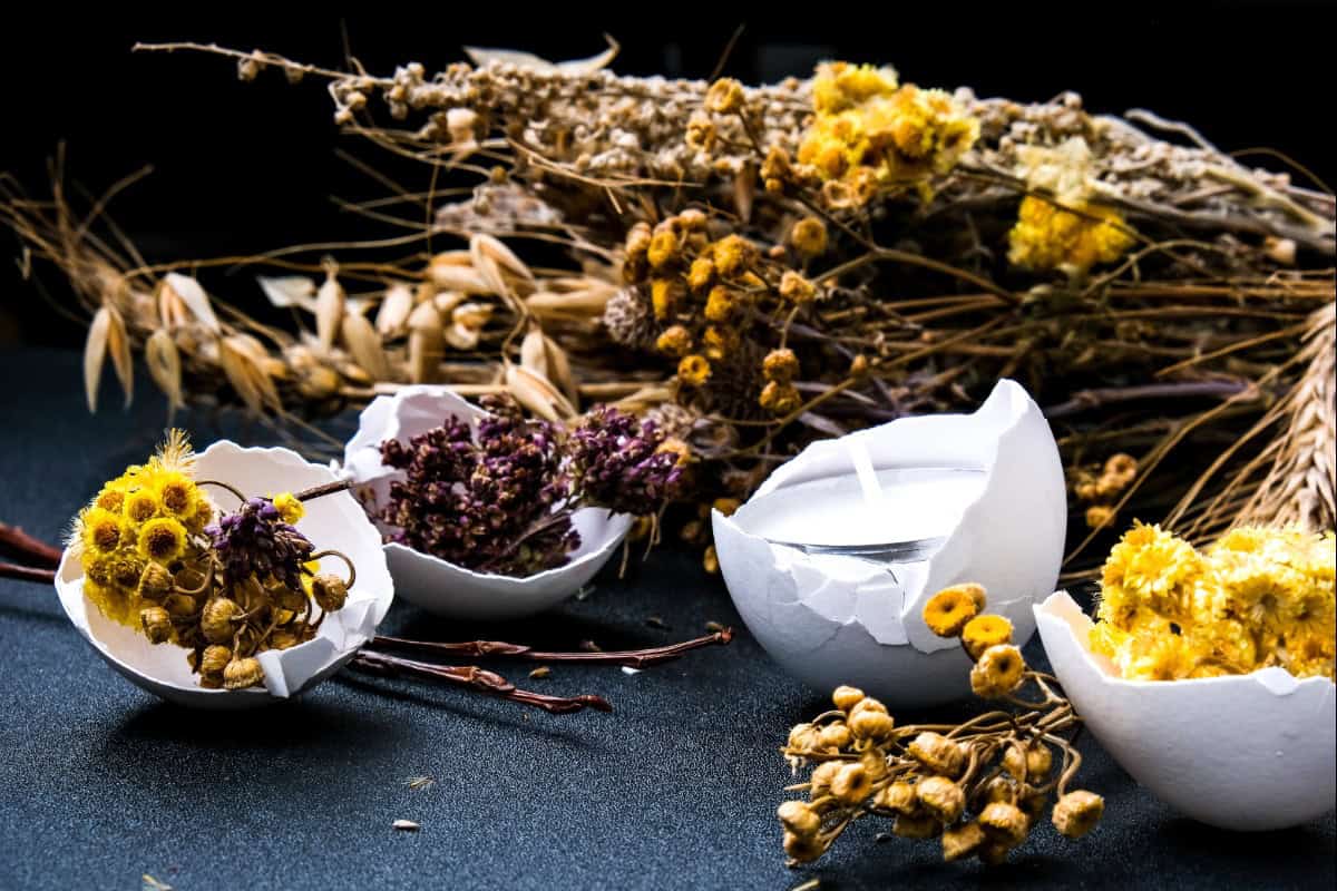 Compost & Create! Crafts That Literally Disappear